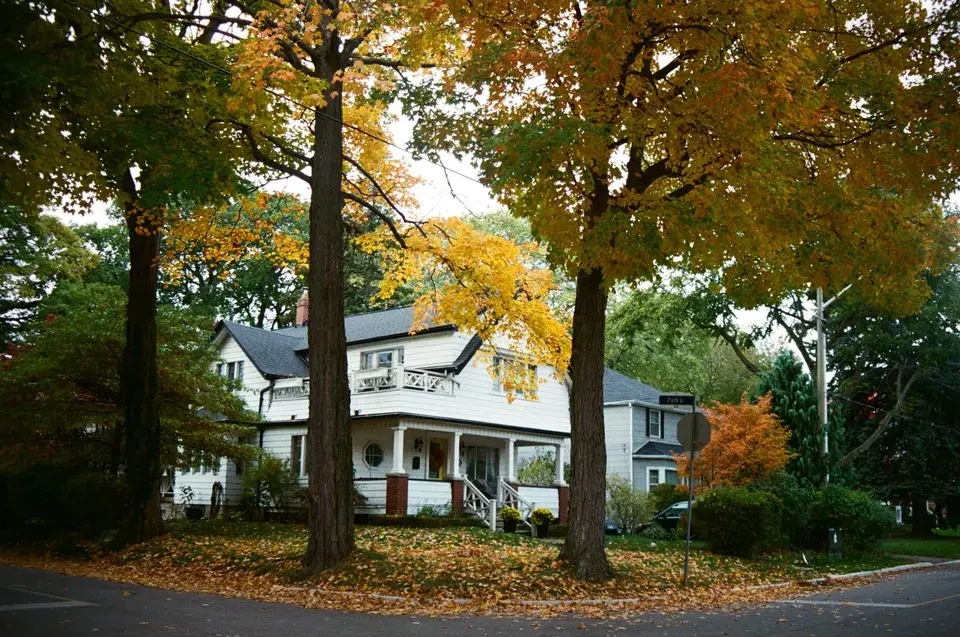 mold removal Cameron
